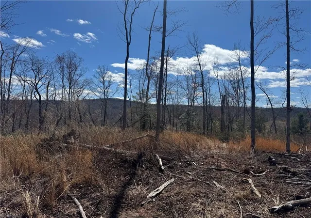 Photo 1 of Residential Lot at 00 Billings Hl Church Rd, Traphill, NC 28685 | MLS# 1212892 | | Sold on 2026-06-04