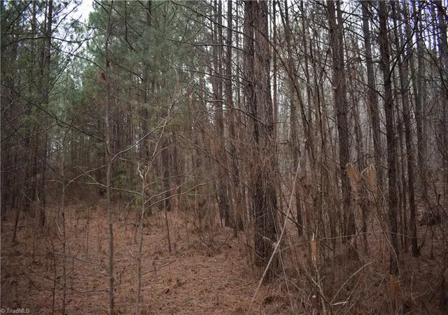 Photo 2 of Land for sale at 257 Piney Grv Church Rd, Siler City, NC 27344 | MLS# 1207639 | Listing updated on 2026-01-27