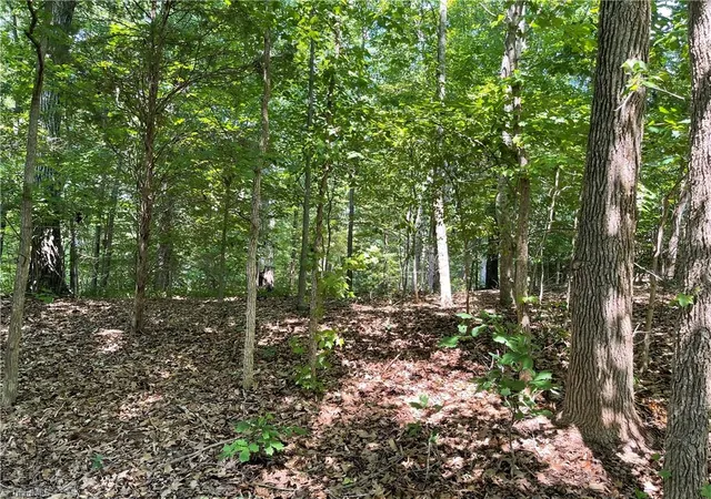 Photo 3 of Land for sale at 196 Larkspur Ln, Lexington, NC 27292 | MLS# 1225856 | Listing updated on 2026-09-02