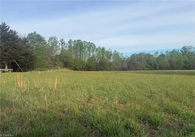 Homes for sale in Eden, NC | 00 Price Rd, Eden, NC 27288 | MLS# 1216079