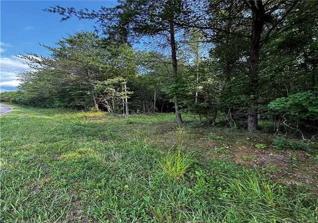 2nd image of 0000 Grogan Rd, Stoneville, NC 27048 | MLS# 1229352