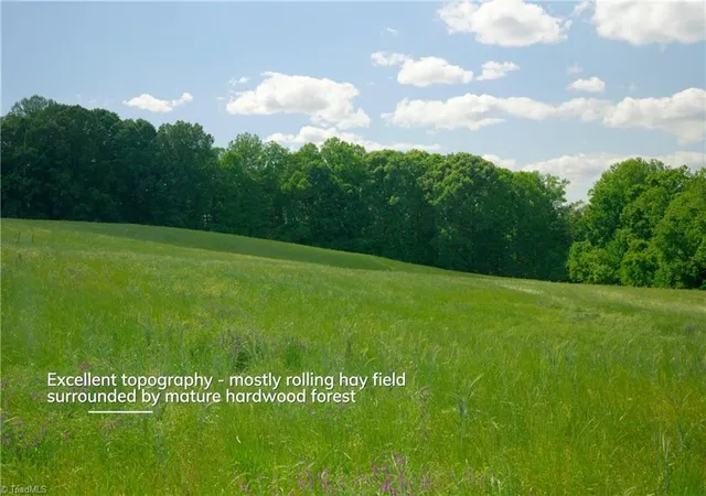 Land for sale at 2 Powell Brg Rd, Harmony, NC 28634 | MLS# 1222798