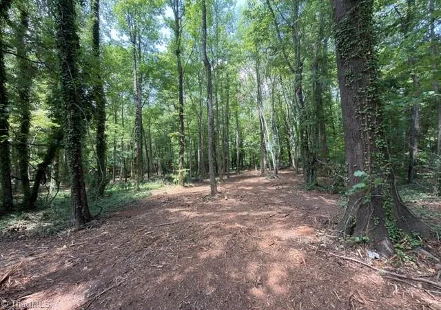 1st image of 602 W Main St #2, Gibsonville, NC 27249 | MLS# 1231484
