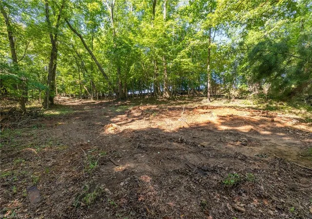 Photo 3 of Land for sale at 7289 Plunkett Rd, Belews Creek, NC 27009 | MLS# 1227341 | Listing updated on 2026-07-11