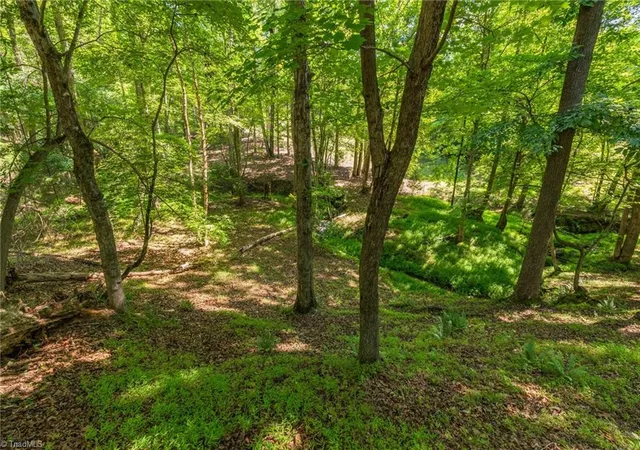 Photo 4 of Land for sale at 7289 Plunkett Rd, Belews Creek, NC 27009 | MLS# 1227341 | Listing updated on 2026-07-11