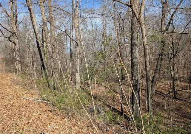 Homes for sale in Asheboro, NC | 0 Browers Chapel Rd, Asheboro, NC 27203 | MLS# 1209982