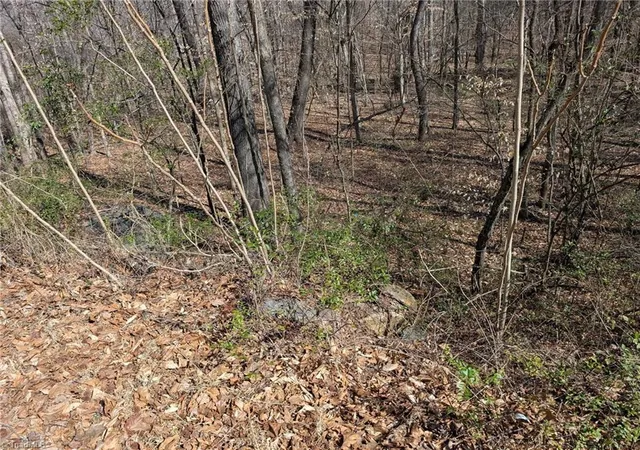 Homes for sale in Asheboro, NC | 0 Browers Chapel Rd, Asheboro, NC 27203 | MLS# 1209982
