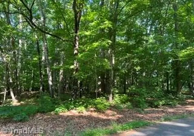 3rd image of 0 Elm St, Mocksville, NC 27028 | MLS# 1220588