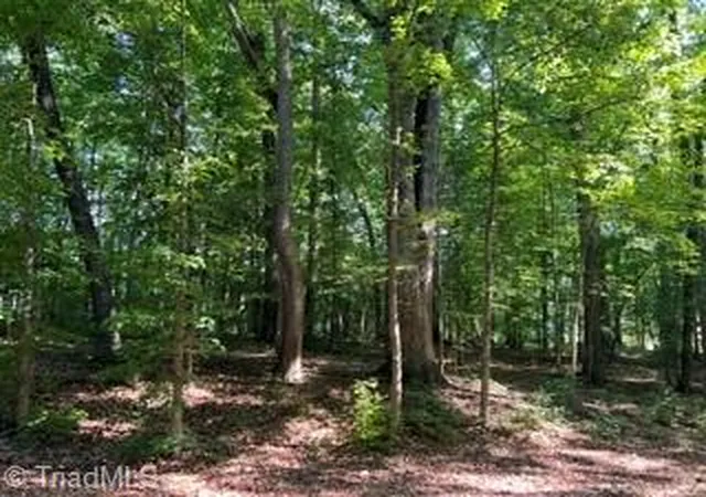 4th image of 0 Elm St, Mocksville, NC 27028 | MLS# 1220588