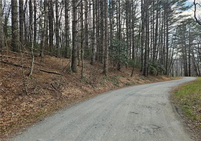 Homes for sale in Todd, NC | Tbd Panorama Dr, Todd, NC 28684 | MLS# 1215498