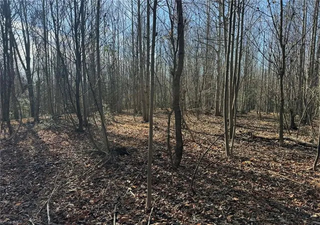 Photo 3 of Land for sale at Tbd Rock Crk Ch Rd, North Wilkesboro, NC 28659 | MLS# 1205125 | Listing updated on 2026-04-28
