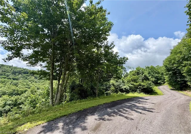 Photo 3 of Land for sale at Lot 99 Beaver Dam Rd, Elk Park, NC 28622 | MLS# 1229734 | Listing updated on 2026-10-18