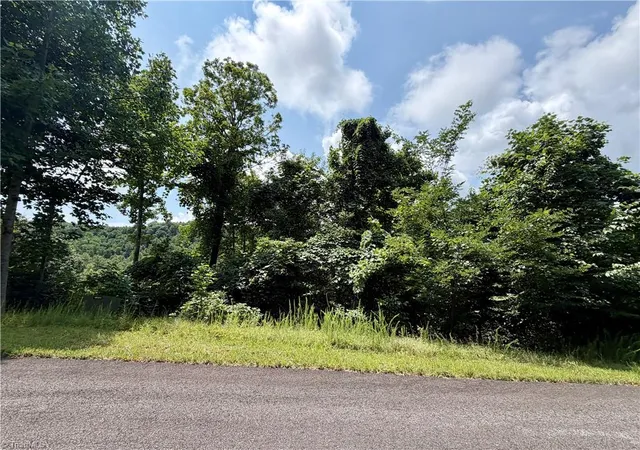 Photo 4 of Land for sale at Lot 99 Beaver Dam Rd, Elk Park, NC 28622 | MLS# 1229734 | Listing updated on 2026-10-18