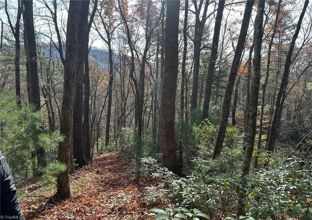 3rd image of Tbd1 Scout Rd, Lenoir, NC 28645 | MLS# 1202923