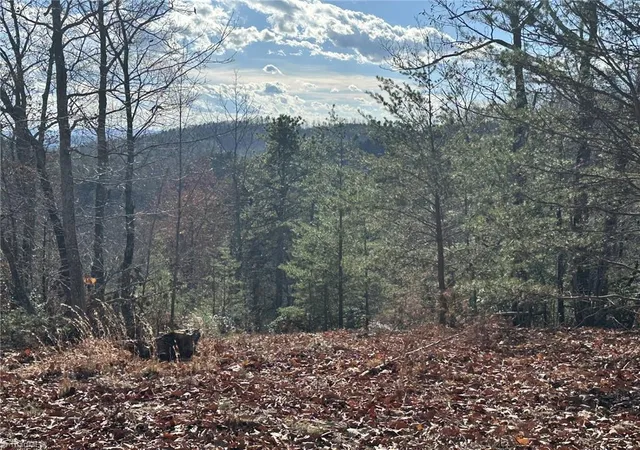 4th image of Tbd1 Scout Rd, Lenoir, NC 28645 | MLS# 1202923