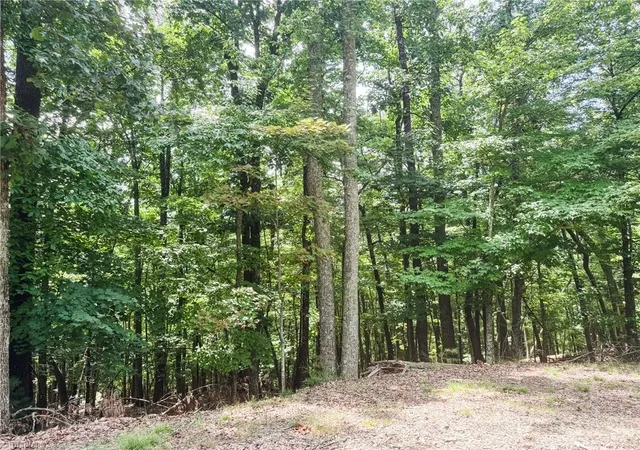 Photo 2 of Land for sale at Tbd Timber Ridge Rd, Mc Grady, NC 28649 | MLS# 1233706 | Listing updated on 2026-08-28