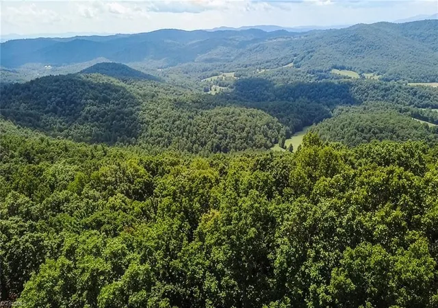 Photo 3 of Land for sale at Tbd Timber Ridge Rd, Mc Grady, NC 28649 | MLS# 1233706 | Listing updated on 2026-08-28