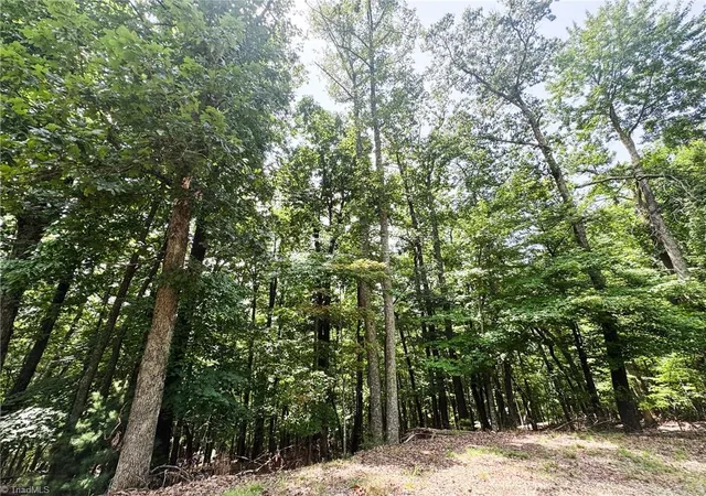 Photo 5 of Land for sale at Tbd Timber Ridge Rd, Mc Grady, NC 28649 | MLS# 1233706 | Listing updated on 2026-08-28