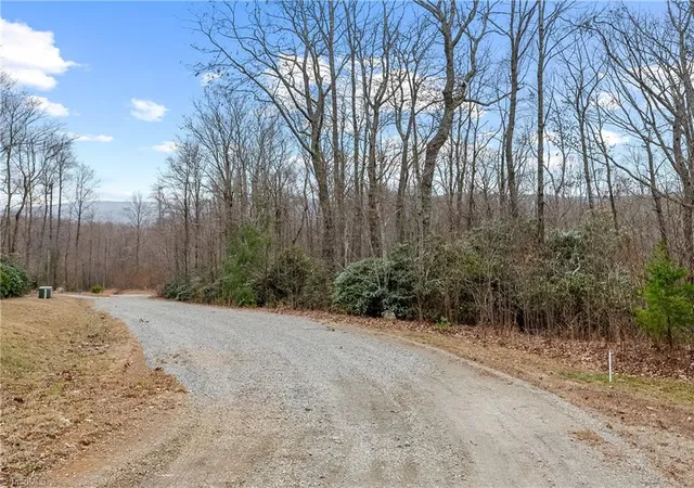 2nd image of Tbd W Pheasant Chase, Ararat, VA 24053 | MLS# 1230697