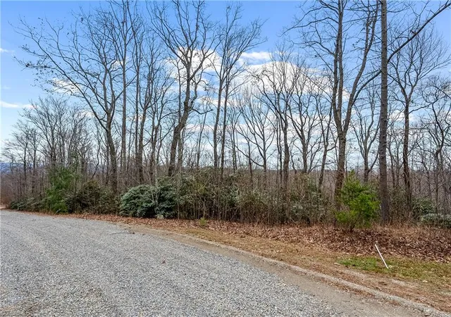 3rd image of Tbd W Pheasant Chase, Ararat, VA 24053 | MLS# 1230697