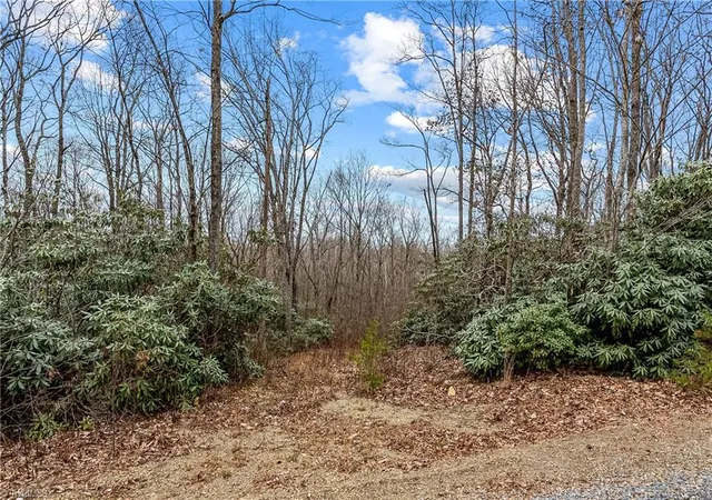 4th image of Tbd W Pheasant Chase, Ararat, VA 24053 | MLS# 1230697
