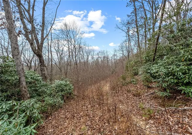 5th image of Tbd W Pheasant Chase, Ararat, VA 24053 | MLS# 1230697