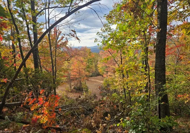 Photo 1 of Land for sale at 0 Shell Crk Rd, Ferguson, NC 28624 | MLS# 1225949 | Listing updated on 2026-07-08