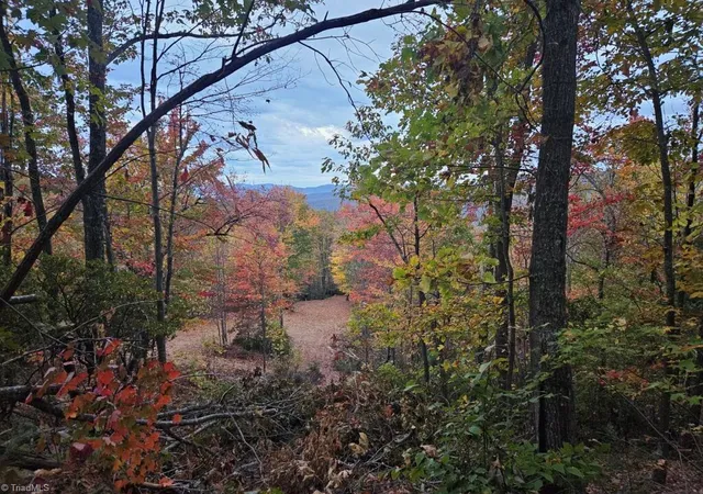 Photo 4 of Land for sale at 0 Shell Crk Rd, Ferguson, NC 28624 | MLS# 1225949 | Listing updated on 2026-07-08