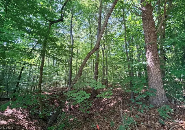 Homes for sale in Ronda, NC | Lot 43 Cemetery St, Ronda, NC 28670 | MLS# 1223076