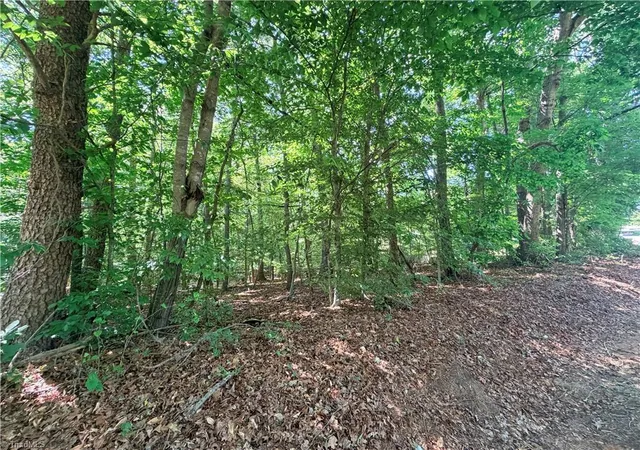 Homes for sale in Ronda, NC | Lot 43 Cemetery St, Ronda, NC 28670 | MLS# 1223076
