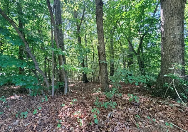 Photo 6 of Land for sale at Lot 43 Cemetery St, Ronda, NC 28670 | MLS# 1223076 | Listing updated on 2026-06-05