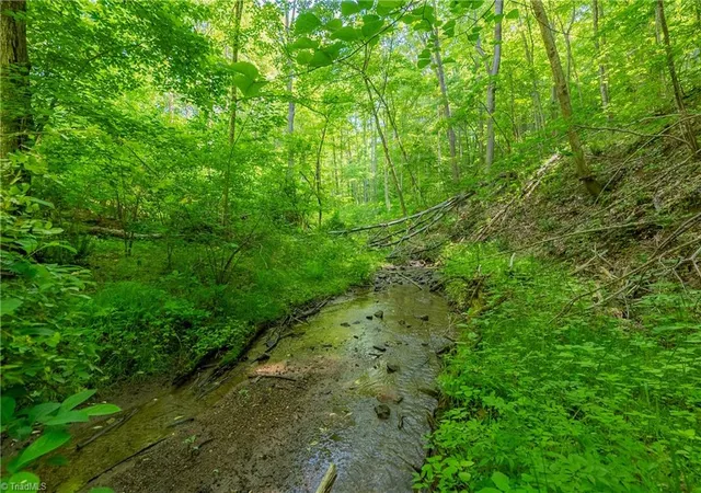 4th image of 8730 Lee Dr Ne, Copper Hill, VA 24079 | MLS# 1225405