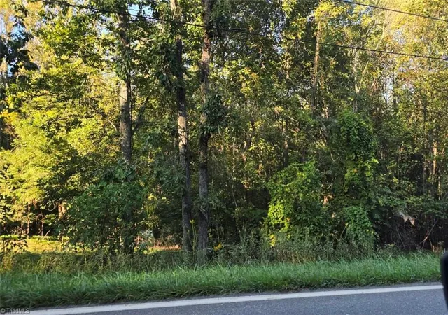 Homes for sale in Walnut Cove, NC | 0 Nc Hwy 89 E, Walnut Cove, NC 27052 | MLS# 1224480