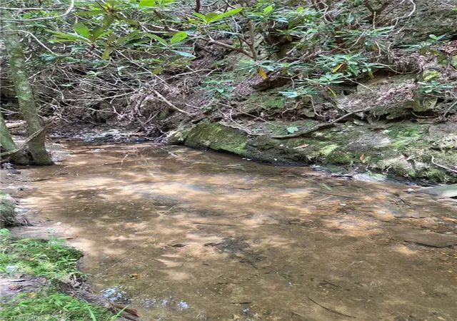 3rd image of 00 Mcbride Rd, Mount Airy, NC 27030 | MLS# 1226775