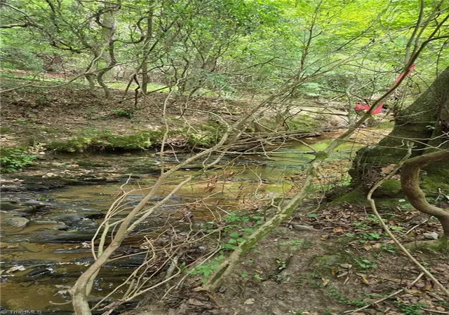 4th image of 00 Mcbride Rd, Mount Airy, NC 27030 | MLS# 1226775