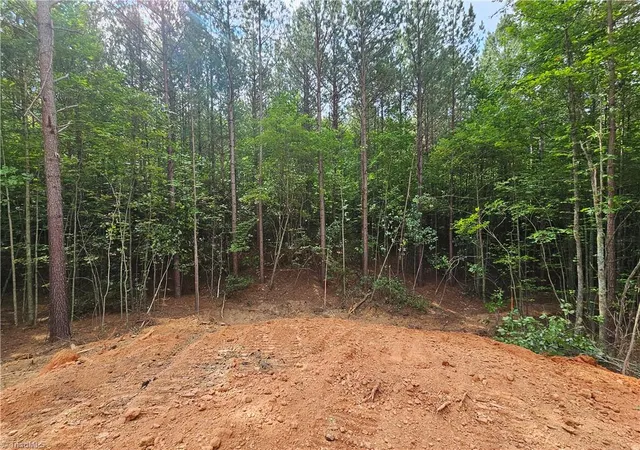 Homes for sale in Mount Airy, NC | 00 Mcbride Rd, Mount Airy, NC 27030 | MLS# 1226775