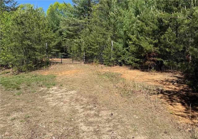 Homes for sale in Purlear, NC | Lots 160 & 161 Staghorn Rd, Purlear, NC 28665 | MLS# 1218052