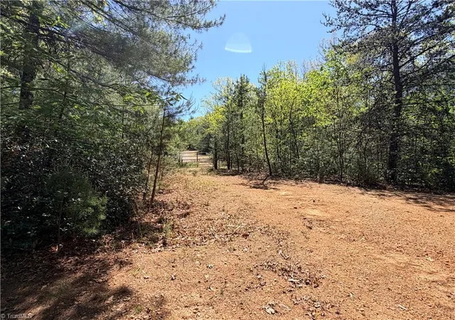 Homes for sale in Purlear, NC | Lots 160 & 161 Staghorn Rd, Purlear, NC 28665 | MLS# 1218052