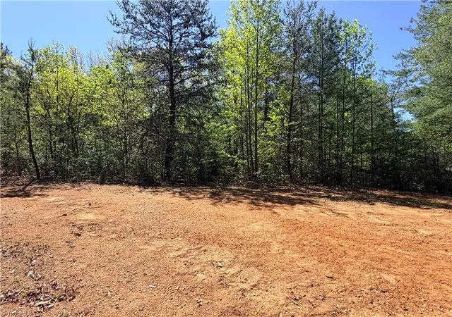 Homes for sale in Purlear, NC | Lots 160 & 161 Staghorn Rd, Purlear, NC 28665 | MLS# 1218052