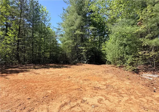 Homes for sale in Purlear, NC | Lots 160 & 161 Staghorn Rd, Purlear, NC 28665 | MLS# 1218052