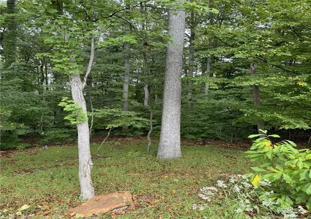 2nd image of 721 Surrey Path Trl, Winston Salem, NC 27104 | MLS# 1229266