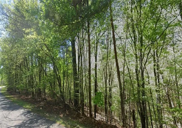 Homes for sale in Wilkesboro, NC | 0 Ridge Ln, Wilkesboro, NC 28697 | MLS# 1226460