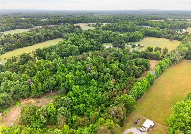 Homes for sale in Liberty, NC | 7436 Chaseford Rd, Liberty, NC 27298 | MLS# 1222379