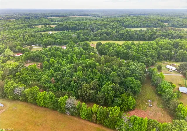 Homes for sale in Liberty, NC | 7436 Chaseford Rd, Liberty, NC 27298 | MLS# 1222379