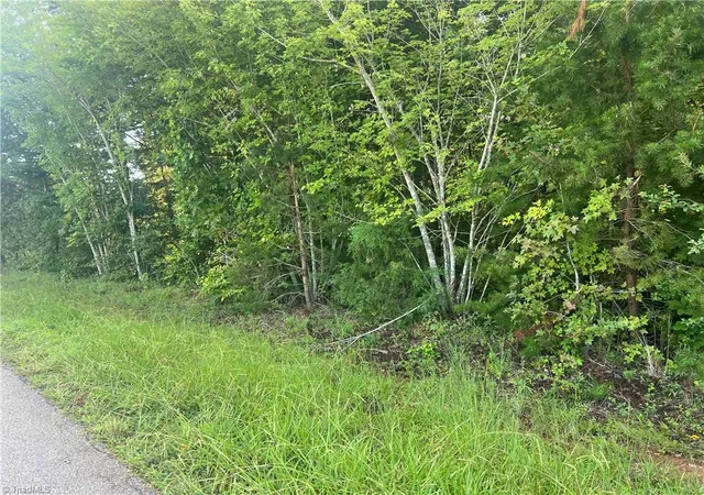 1st image of 6208 Cape Wedgewood Cir, Browns Summit, NC 27214 | MLS# 1215785