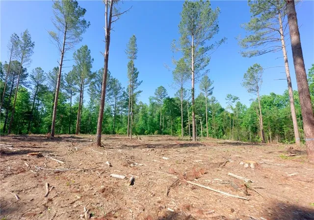 Photo 3 of Land for sale at 0 Carson Rd, Cleveland, NC 27013 | MLS# 1224139 | Listing updated on 2026-10-10