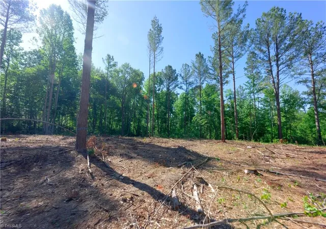 Photo 4 of Land for sale at 0 Carson Rd, Cleveland, NC 27013 | MLS# 1224139 | Listing updated on 2026-10-10