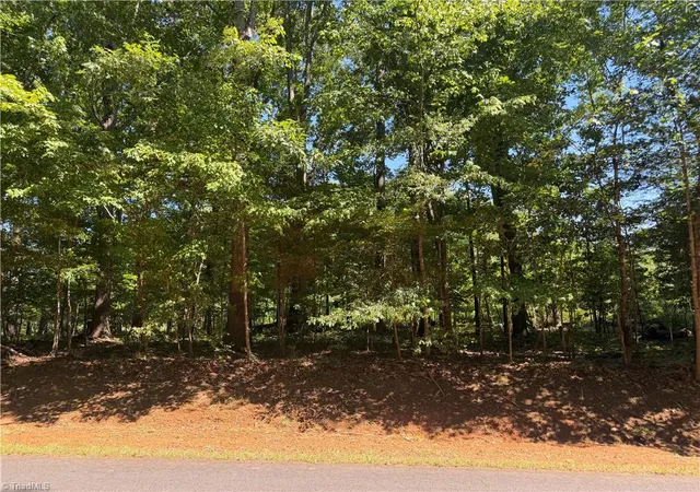 Photo 3 of Land for sale at 0 Pine Forest Dr S, Siler City, NC 27344 | MLS# 1224750 | Listing updated on 2026-06-16