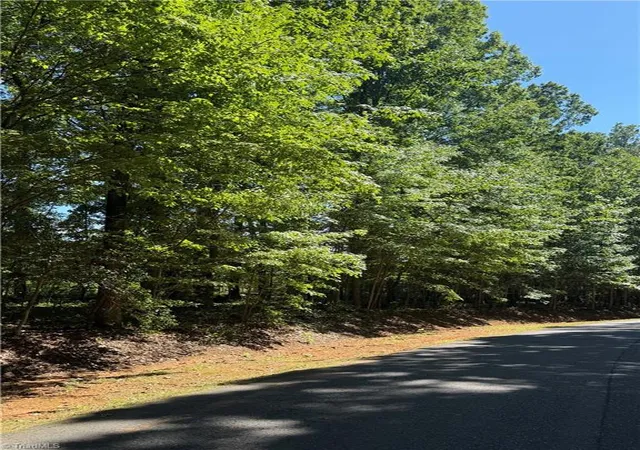 Photo 3 of Land for sale at 0 Pine Forest Dr S, Siler City, NC 27344 | MLS# 1224750 | Listing updated on 2026-06-16