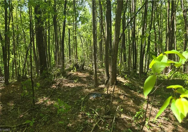 Photo 1 of Land for sale at 00 Goose Crk Ln, Ararat, VA 24053 | MLS# 1224426 | Listing updated on 2026-06-13